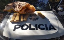 Polícia civil apreende maconha no interior de Santa Helena