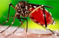 Prefeito Zado decreta Situação de Emergência por causa da dengue em Santa Helena