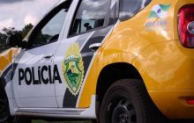 Homem é preso após atirar contra próprio cachorrinho em São José das Palmeiras