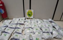 BPFron realiza apreensão de herbicida contrabandeado do Paraguai