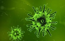 Secretaria de Saúde afirma que Santa Helena não tem nenhum caso suspeito de Coronavírus