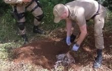 Polícia investiga morte de mulher encontrada enterrada