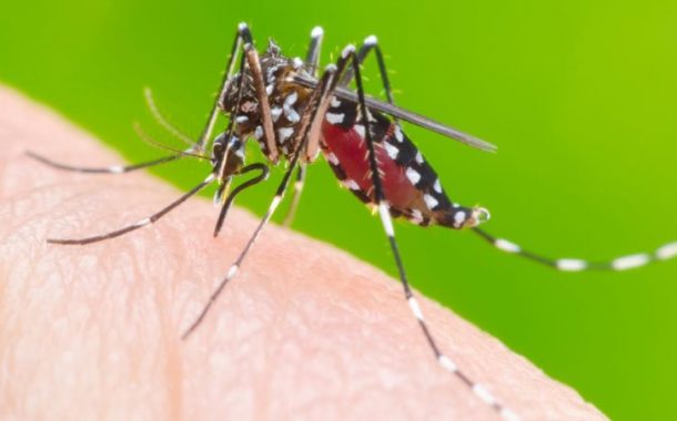 Novo boletim mostra que dengue não recua em Santa Helena e casos se multiplicam a cada semana