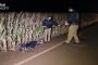 Santa Helena: Polícia militar encontra cocaína e maconha com três homens