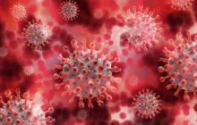 Missal tem 33 casos confirmados de Coronavírus