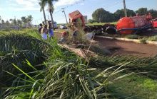Motorista colide caminhão em palmeira na entrada de Missal ao ser fechado por veículo