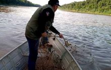 Pesca de espécies nativas está proibida até fevereiro no Paraná