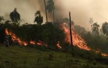 Aproximadamente 600 hectares foram destruídos por incêndio na região de Quedas do Iguaçu, centro-oeste do Paraná