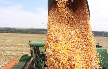 Santa Helena sobe uma posição e conquista o 5º lugar em produção agropecuária do Paraná