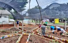 Na Horta Semear, em Itaipulândia, se planta vida e cultiva esperança