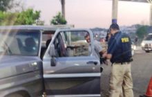 Camionete furtada em Itaipulândia é recuperada em Foz, pela PRF