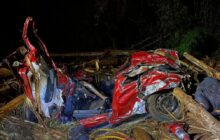 Cinco pessoas morrem prensadas por toras em rodovia do Paraná