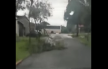 Temporal: chuva e fortes ventos atingiram Santa Helena na madrugada deste domingo (VÍDEO)