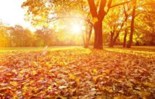 Outono: calor, chuva ou frio? Saiba como será a estação, que começa nesta segunda