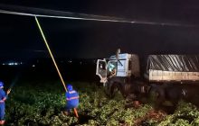 Caminhão bitrem invade lavoura de soja e atinge poste de energia na PR-495 em Santa Helena
